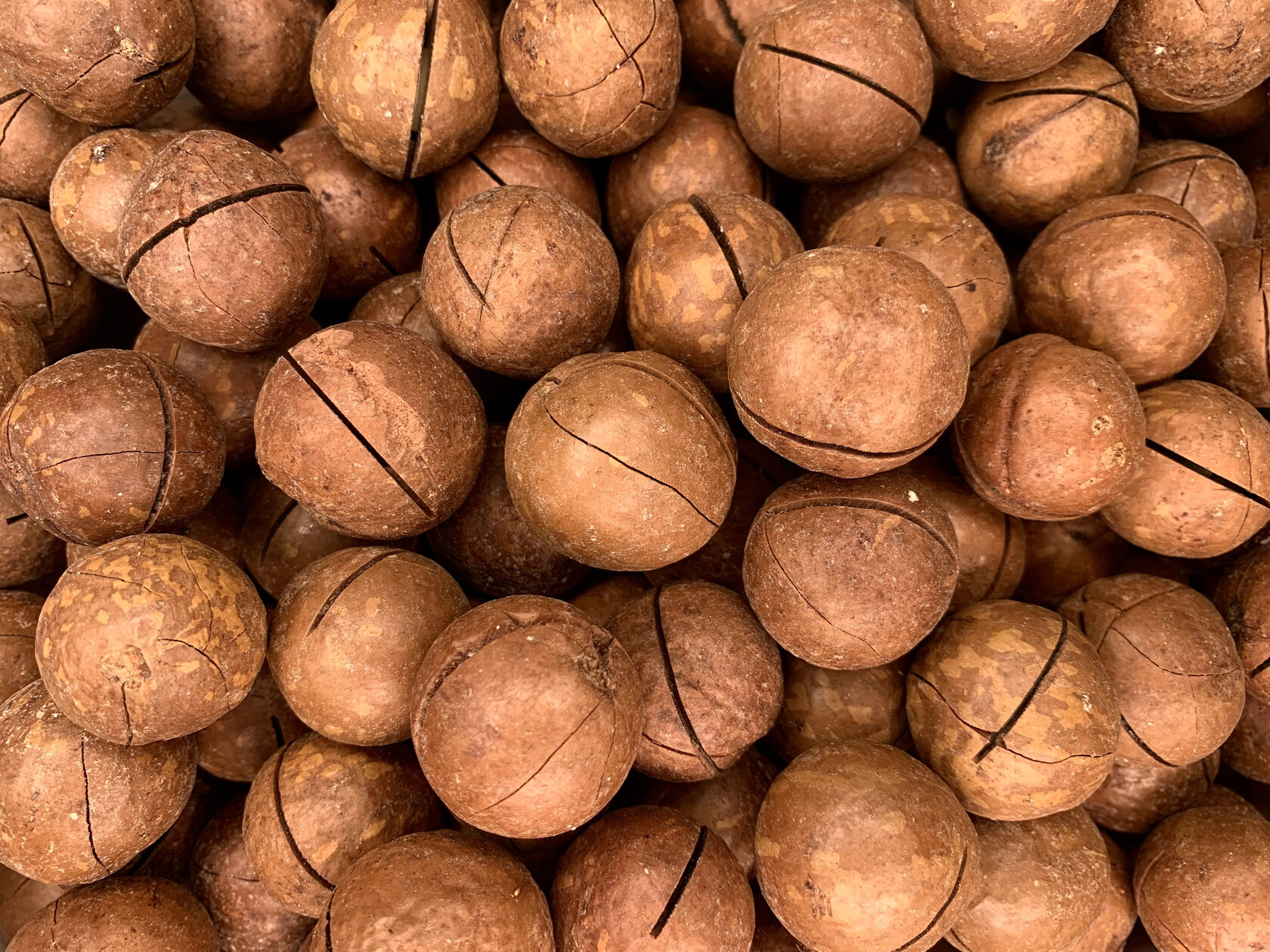 Home